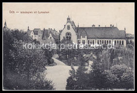 Widokówka - Oels Wilhemplatz mit Gymnasium